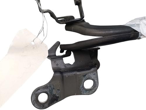 Hinge/Door check strap TOYOTA YARIS (_P13_) 1.5 Hybrid (NHP130_, NHP130) | BP29759888C146