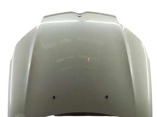 hood-citroen-c5-iii-rd_-2008-2009-2010-2011-2012-2013-2014-2015-2016-2017-33323310 main image