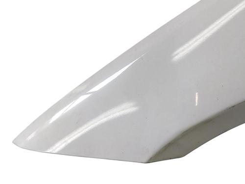 Left front fenders BMW 3 (E90) 318 i | BP25058692C41 