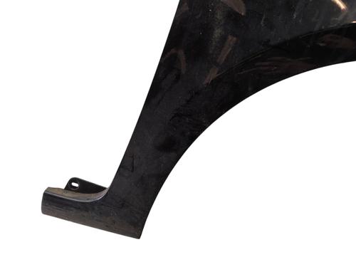 Right front fenders RENAULT CLIO III (BR0/1, CR0/1) 1.5 dCi (BR17, CR17) | BP29508360C42 