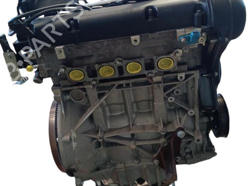 Motor FORD FIESTA VI (CB1, CCN) 1.25 (82 hp) 25074703
