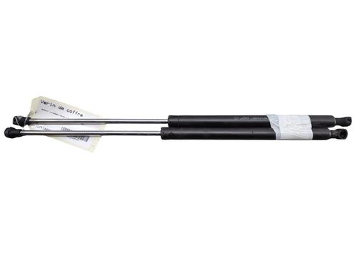 tailgate-lift-support-renault-laguna-ii-bg01_-2001-2002-2003-2004-2005-2006-2007-25337173 main image