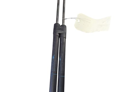 Used Tailgate lift support RENAULT MEGANE III Grandtour (KZ0/1) 1.5 dCi (KZ09, KZ0D, KZ1G, KZ29, KZ14, KZ1W, KZ10, KZ1F,... (110 hp) 25061390