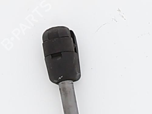 hood-lift-support-dacia-duster-hs_-2010-2011-2012-2013-2014-2015-2016-2017-2018-33723711 main image