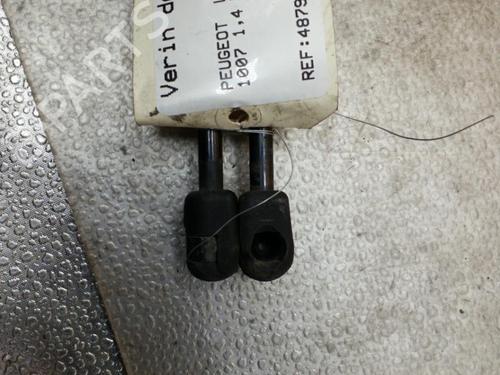Tailgate lift support PEUGEOT 1007 (KM_) 1.4 | BP25093038C138