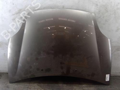 Hood FIAT BRAVO II (198_) 1.6 D Multijet (198AXL1B) | BP25093620C1 