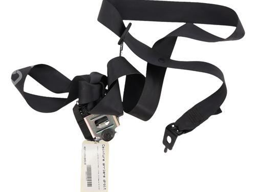 Used Rear right seatbelt Rear right seatbelt RENAULT CLIO IV (BH_) 0.9 TCe 90 (BHNF, BHMA, BHMH, BHJK, BHJR) (90 hp) 33534954 33534954