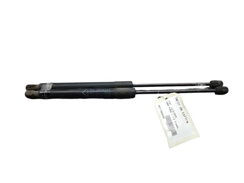 Used Tailgate lift support FIAT 500X (334_) 1.6 D Multijet (334AXA1B, 334AXA11) (120 hp) 25076121