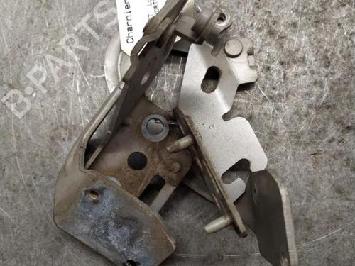 hingedoor-check-strap-peugeot-1007-km_-2005-25101332 main image