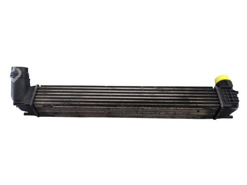 Intercooler RENAULT MEGANE III Hatchback (BZ0/1_, B3_) 1.5 dCi (BZ09, BZ0D, BZ1W, BZ29, BZ14) (110 hp) 29431049