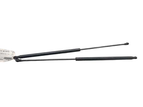 Used Tailgate lift support Tailgate lift support NISSAN JUKE (F15) 1.5 dCi (110 hp) 25098214 25098214