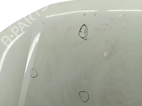 Used Hood VW TRANSPORTER T5 Van (7HA, 7HH, 7EA, 7EH) 2.0 TDI (140 hp) 31074813