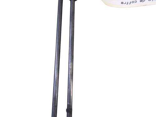 Tailgate lift support CITROËN C4 Grand Picasso I (UA_) 1.6 HDi 110 | BP28216949C138 