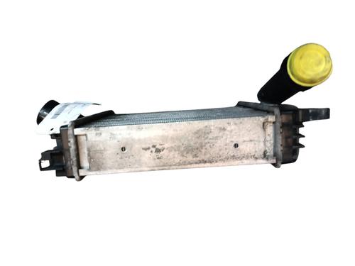 Intercooler DACIA LODGY (JS_) 1.5 dCi | BP29611983M30 