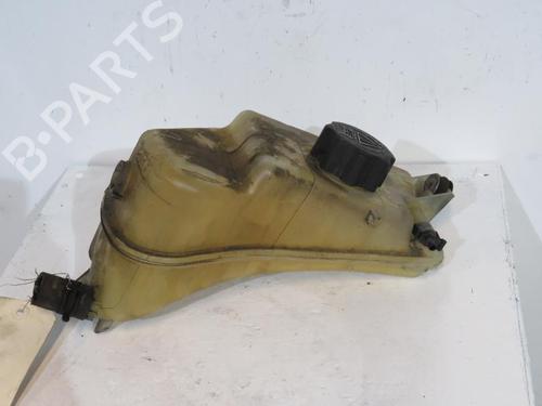 Used Expansion tank PEUGEOT PARTNER Box Body/MPV (5_, G_) [1996-2025]  25112403