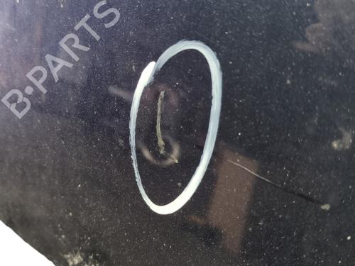 Capot DACIA SANDERO II TCe 90 (B8M1, B8MA, B8AC) | BP31595516C1 