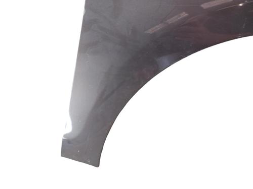Used Right front fenders RENAULT SCÉNIC III (JZ0/1_) 1.5 dCi (86 hp) 25100994