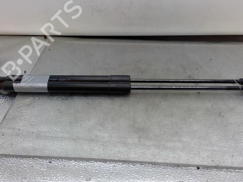 Gassdemper Bakluke CITROËN C3 II (SC_) 1.4 (73 hp) 25082586
