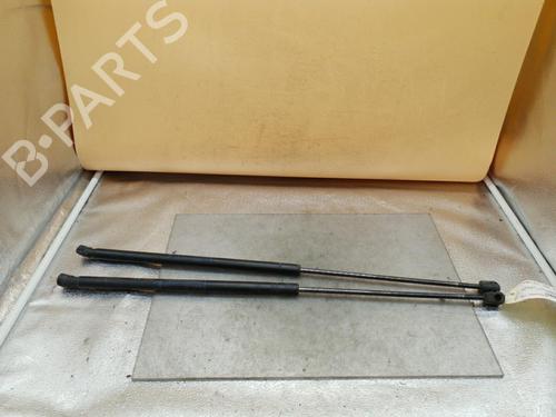 Tailgate lift support LANCIA DELTA III (844_) 1.6 D Multijet (844.AXC11, 844.AXC1A) | BP25081600C138 