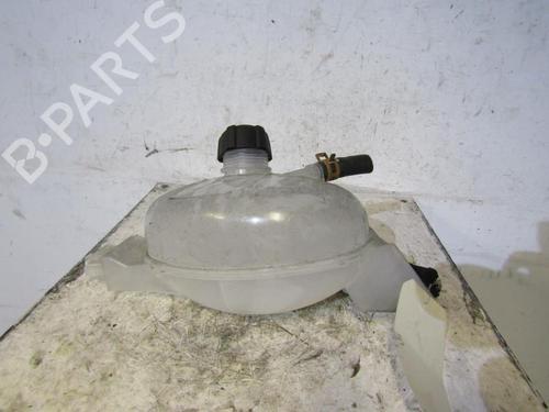 Used Expansion tank RENAULT MASTER III Bus (JV) 2.3 dCi 145 FWD (JV0F, JV0S, JV0T) (146 hp) 25106533