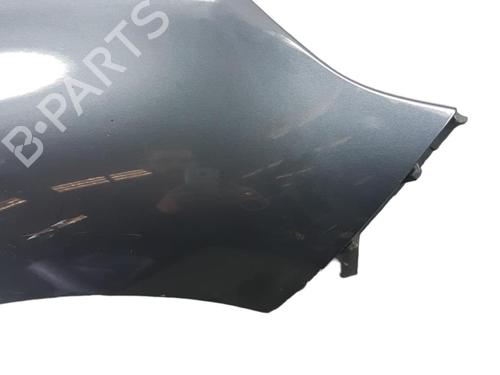 Right front fenders RENAULT SCÉNIC III (JZ0/1_) 1.5 dCi | BP26293666C42 