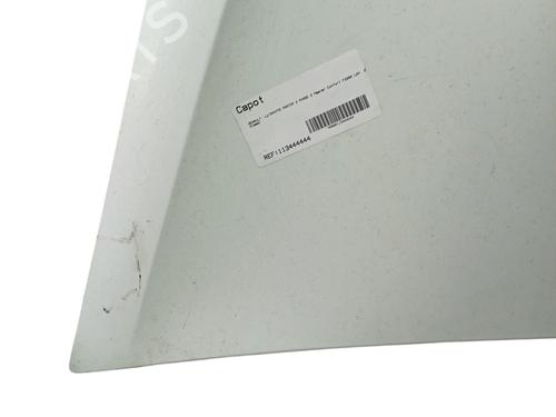 Hood RENAULT MASTER III Van (FV) 2.3 dCi 130 FWD (FV0M, FV0Y, FV0J, FV02, FV03) | BP29513782C1 