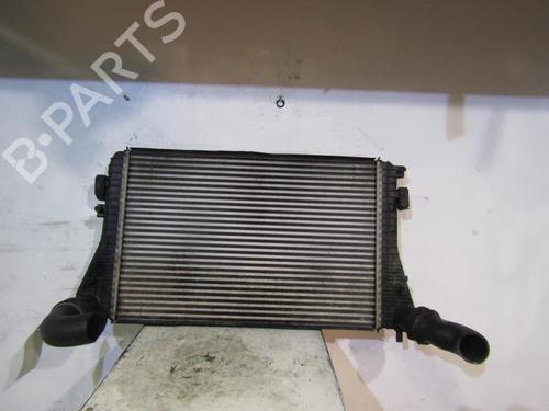 Used Intercooler VW PASSAT B6 Variant (3C5) 1.9 TDI (105 hp) 25063887