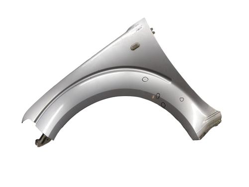 Left front fenders NISSAN PATHFINDER III (R51)  | BP25100036C41 
