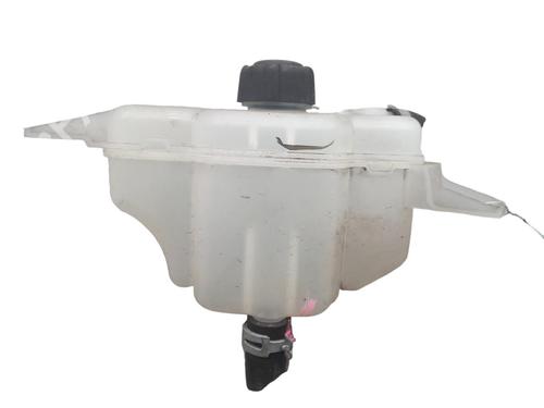 Used Expansion tank RENAULT KADJAR (HA_, HL_) 1.5 BLUE dCi 115 (HLA6) (116 hp) 25054092