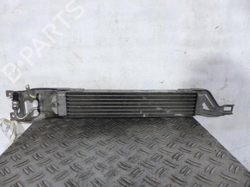 Intercooler MERCEDES-BENZ B-CLASS Sports Tourer (W245) B 200 CDI (245.208) (140 hp) 25064975