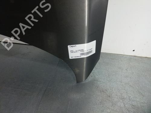 Capot OPEL INSIGNIA A (G09) 2.0 CDTI (68) (160 hp) 25077998