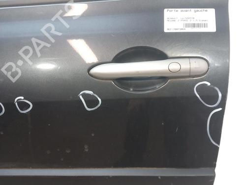 Left front door RENAULT MEGANE II (BM0/1_, CM0/1_)  | BP25058871C2 