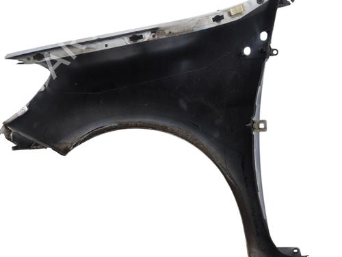 Right front fenders RENAULT CLIO III (BR0/1, CR0/1) 1.5 dCi (C/BR0G, C/BR1G) | BP29175550C42 