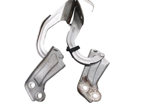 Hinge/Door check strap FORD FOCUS III 1.6 TDCi | BP32269850C146