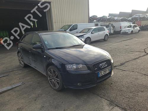 Interior roof light AUDI A3 Sportback (8PA) 2.0 TDI | BP25089298I8 