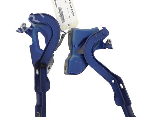 hingedoor-check-strap-dacia-sandero-iii-2021-36338451 main image