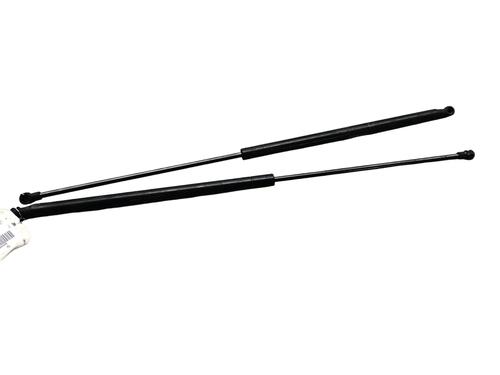 Used Tailgate lift support NISSAN JUKE (F15) 1.5 dCi (110 hp) 25098214