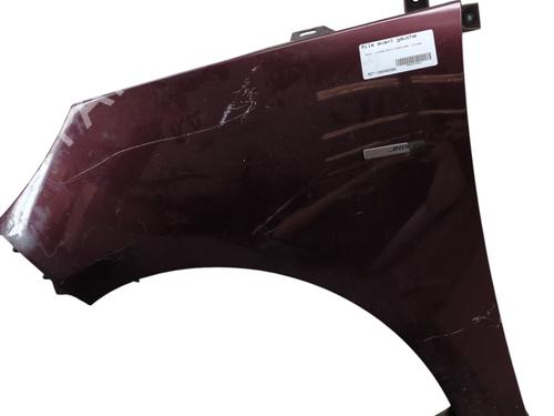 Used Left front fenders RENAULT SCÉNIC III (JZ0/1_) 1.6 dCi (JZ00, JZ12) (130 hp) 26504229