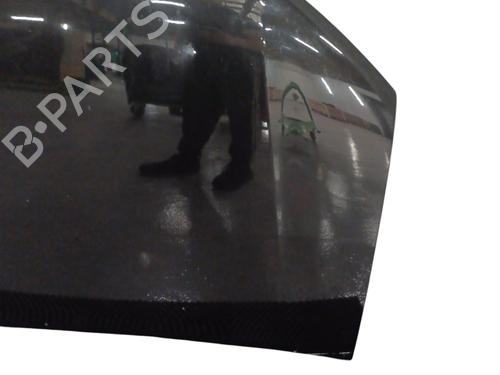 hood-dacia-sandero-ii-2012-33535134 main image