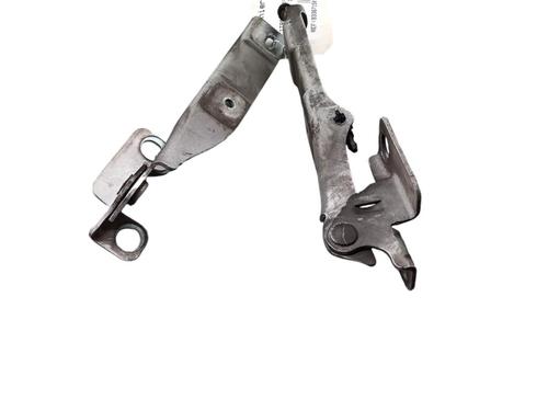 hingedoor-check-strap-citroen-c3-ii-sc_-2009-25100897 main image