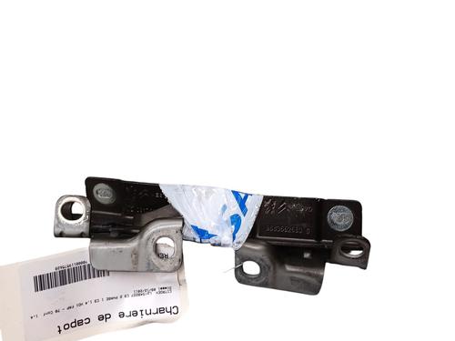 hingedoor-check-strap-citroen-c3-ii-sc_-2009-31883499 main image