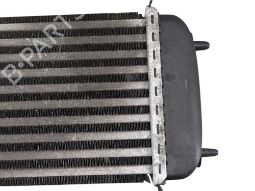 Intercooler CITROËN JUMPY II Van 1.6 HDi 90 8V | BP39395010M30 - Image 9