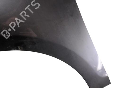 Left front fenders RENAULT SCÉNIC III (JZ0/1_) 1.5 dCi | BP32113579C41