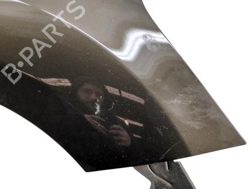 right-front-fenders-citroen-c3-ii-sc_-2009-32321455 main image