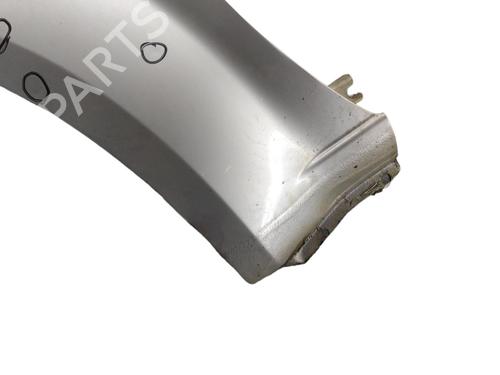 Left front fenders NISSAN PATHFINDER III (R51)  | BP25100036C41 