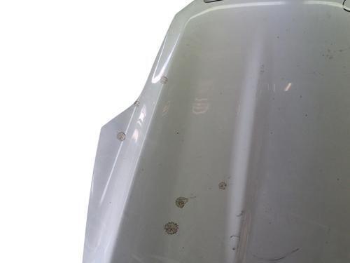 Hood FORD KUGA I 2.0 TDCi | BP28580169C1 