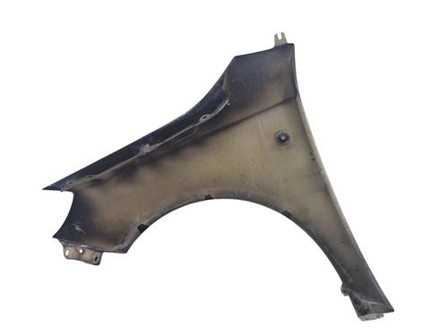 Right front fenders SKODA FABIA II (542) 1.6 TDI | BP29251862C42 
