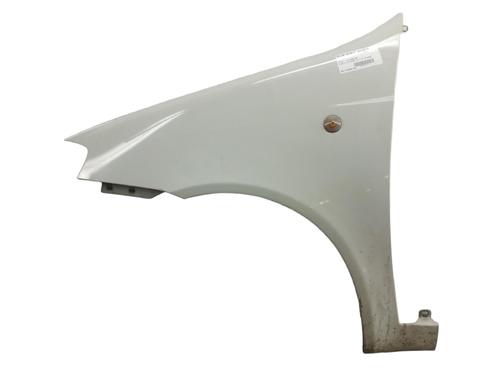 Left front fenders FIAT PUNTO (188_)  | BP25103090C41 