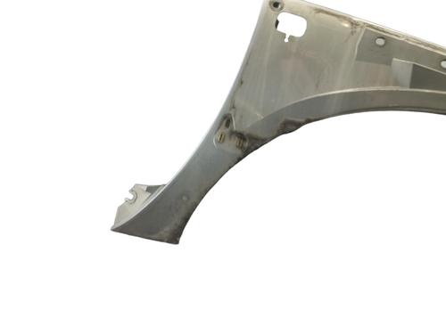 Guarda-lamas direito RENAULT SCÉNIC I MPV (JA0/1_, FA0_) 1.9 dCi RX4 (102 hp) 25076663