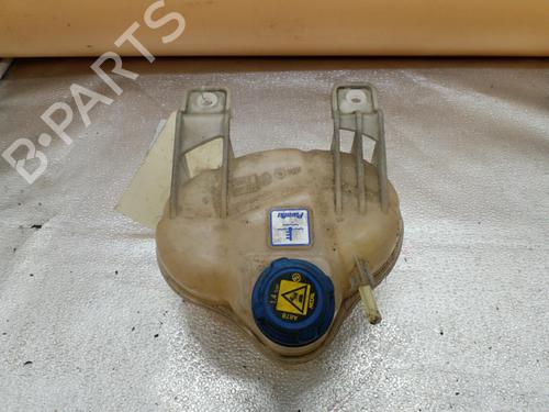 Used Expansion tank FIAT PUNTO EVO (199_) 1.3 D Multijet (199AXC1A, 199BXC1A, 199AXT1A, 199BXT1A) (75 hp) 25078411